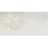 Magnéto blanc